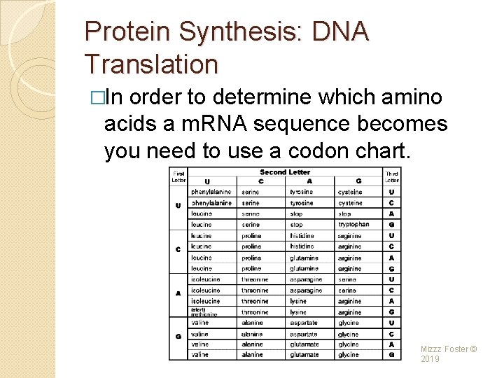 Protein Synthesis: DNA Translation �In order to determine which amino acids a m. RNA