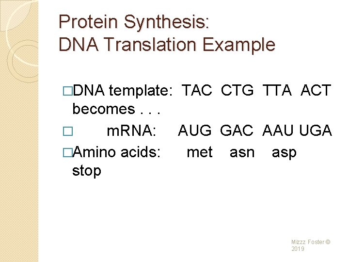 Protein Synthesis: DNA Translation Example �DNA template: TAC CTG TTA ACT becomes. . . Protein Synthesis: DNA Translation Example �DNA template: TAC CTG TTA ACT becomes. . .