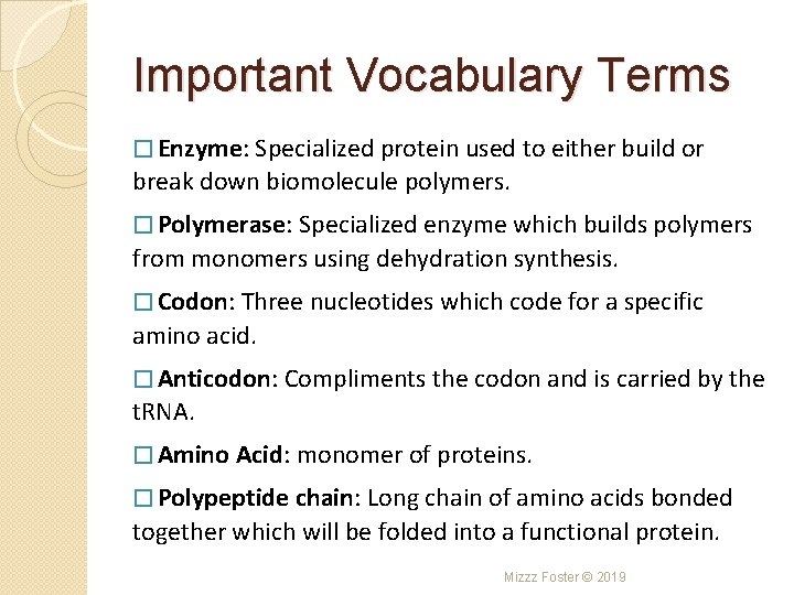 Important Vocabulary Terms � Enzyme: Specialized protein used to either build or break down