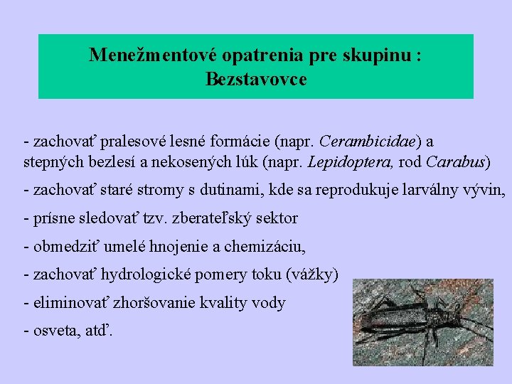 Menežmentové opatrenia pre skupinu : Bezstavovce - zachovať pralesové lesné formácie (napr. Cerambicidae) a