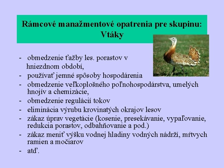 Rámcové manažmentové opatrenia pre skupinu: Vtáky - obmedzenie ťažby les. porastov v hniezdnom období,