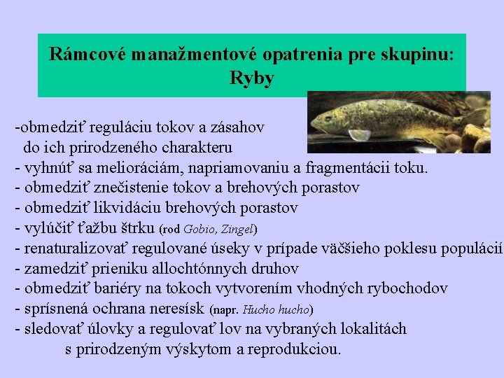 Rámcové manažmentové opatrenia pre skupinu: Ryby -obmedziť reguláciu tokov a zásahov do ich prirodzeného