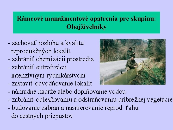 Rámcové manažmentové opatrenia pre skupinu: Obojživelníky - zachovať rozlohu a kvalitu reprodukčných lokalít -