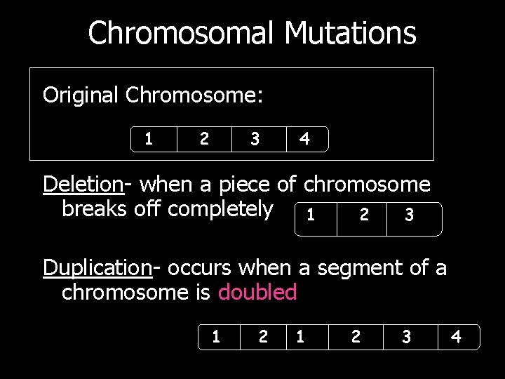 Chromosomal Mutations Original Chromosome: 1 2 3 4 Deletion- when a piece of chromosome