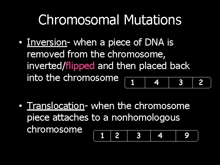 Chromosomal Mutations • Inversion- when a piece of DNA is removed from the chromosome,