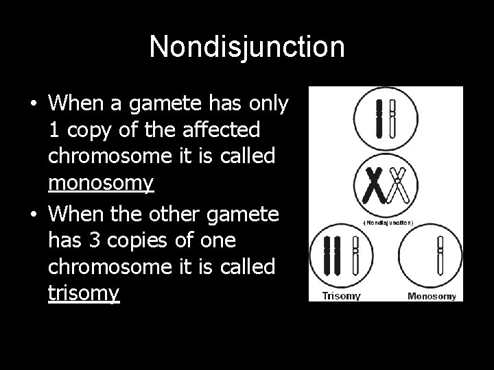 Nondisjunction • When a gamete has only 1 copy of the affected chromosome it