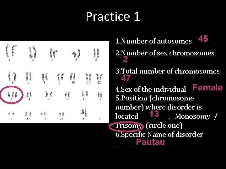 Practice 1 45 1. Number of autosomes ____ 2. Number of sex chromosomes 2