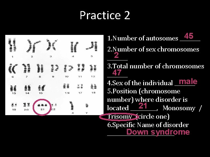 Practice 2 45 1. Number of autosomes ____ 2. Number of sex chromosomes 2
