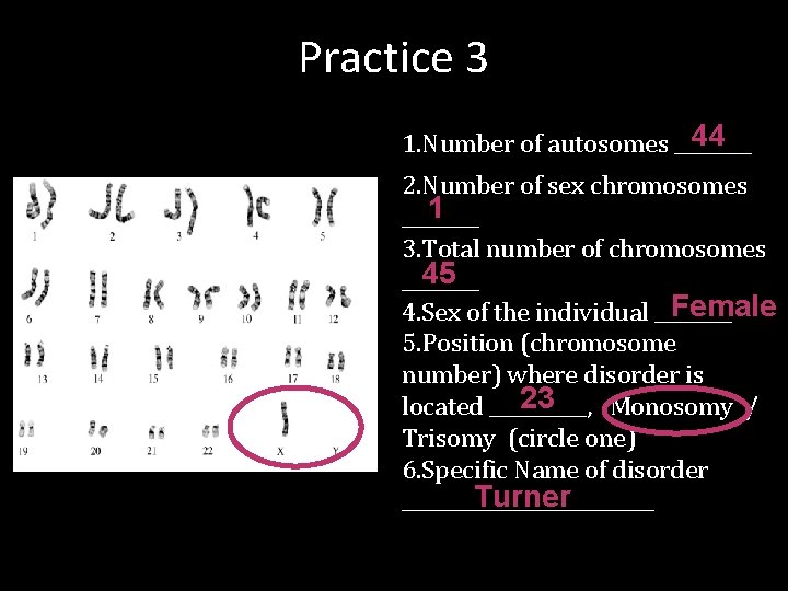 Practice 3 44 1. Number of autosomes ____ 2. Number of sex chromosomes 1