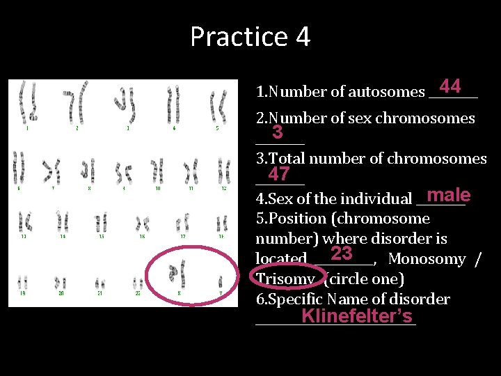 Practice 4 44 1. Number of autosomes ____ 2. Number of sex chromosomes 3