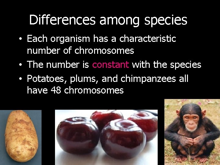 Differences among species • Each organism has a characteristic number of chromosomes • The