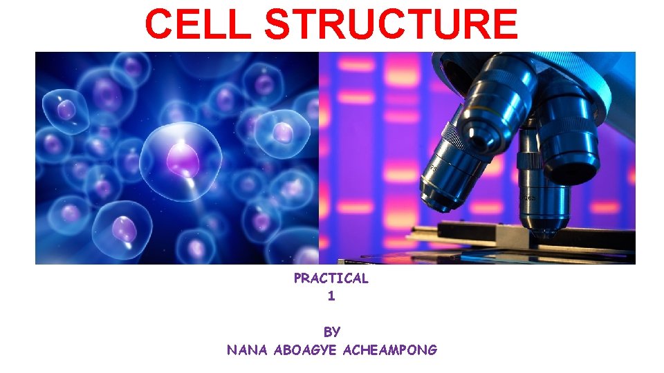 CELL STRUCTURE (BIOL 151) PRACTICAL 1 BY NANA ABOAGYE ACHEAMPONG 