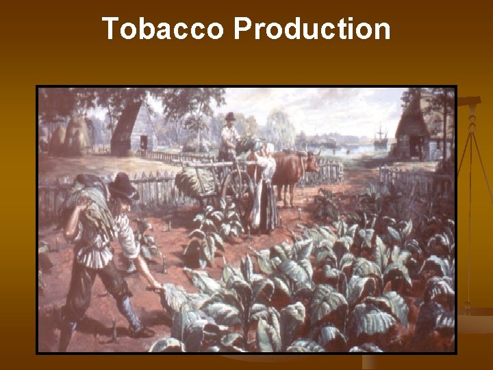 Tobacco Production 