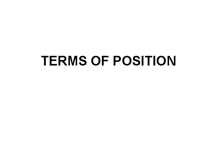 TERMS OF POSITION 