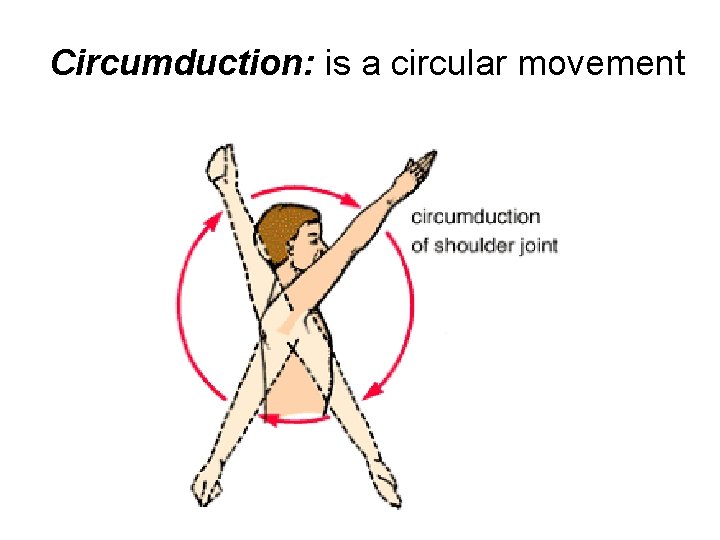 Circumduction: is a circular movement 