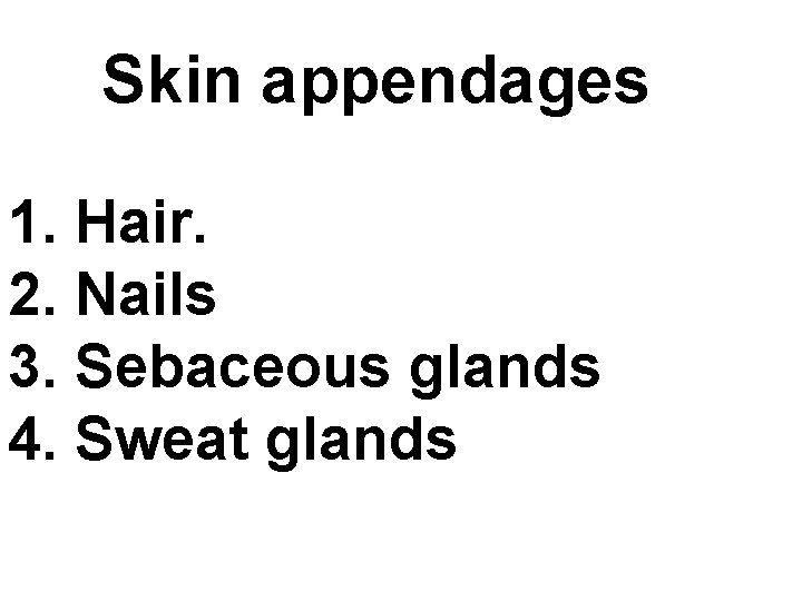 Skin appendages 1. Hair. 2. Nails 3. Sebaceous glands 4. Sweat glands 