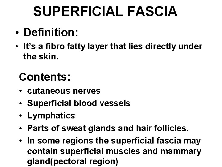 SUPERFICIAL FASCIA • Definition: • It’s a fibro fatty layer that lies directly under