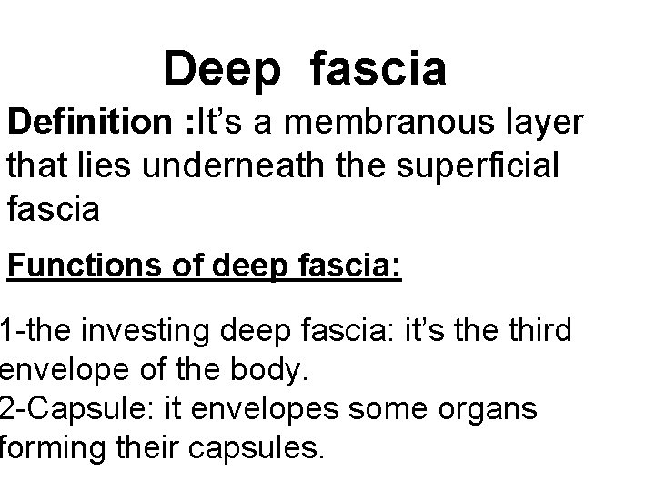 Deep fascia Definition : It’s a membranous layer that lies underneath the superficial fascia