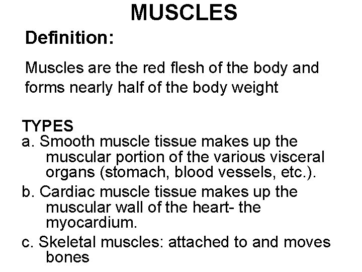 MUSCLES Definition: Muscles are the red flesh of the body and forms nearly half