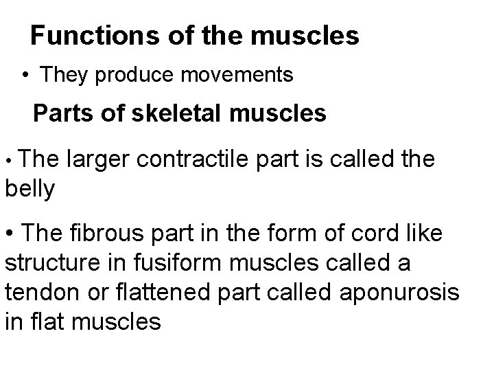 Functions of the muscles • They produce movements Parts of skeletal muscles • The