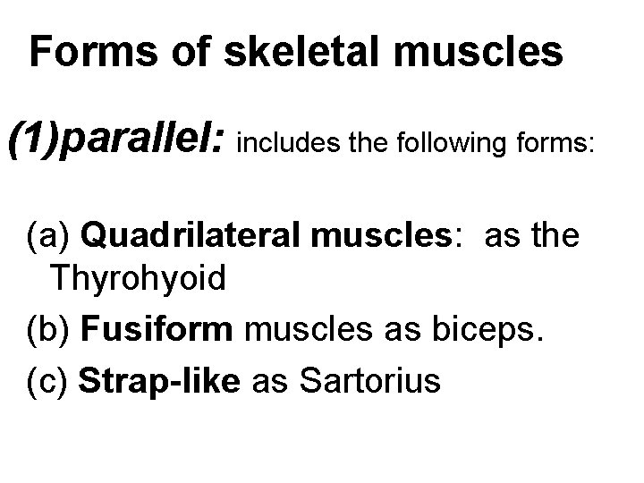 Forms of skeletal muscles (1)parallel: includes the following forms: (a) Quadrilateral muscles: as the