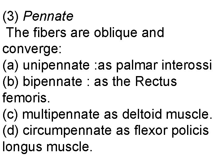 (3) Pennate The fibers are oblique and converge: (a) unipennate : as palmar interossi