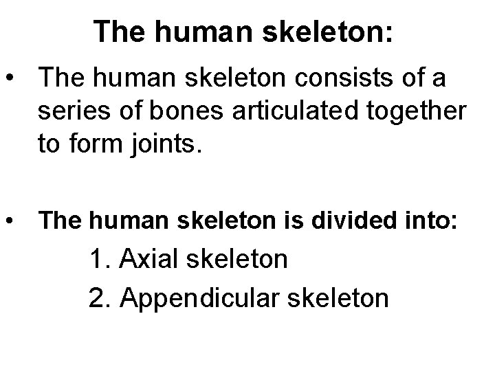 The human skeleton: • The human skeleton consists of a series of bones articulated