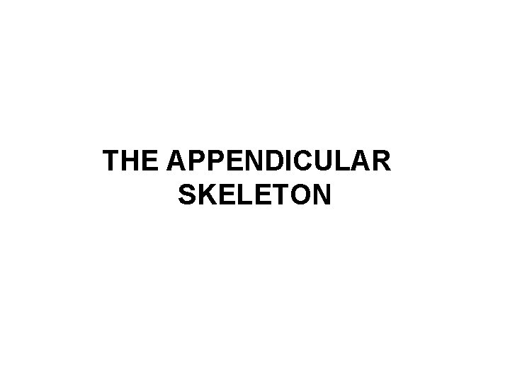 THE APPENDICULAR SKELETON 