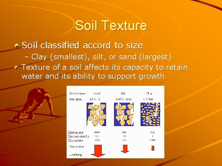 Soil Texture Soil classified accord to size – Clay (smallest), silt, or sand (largest) Soil Texture Soil classified accord to size – Clay (smallest), silt, or sand (largest)