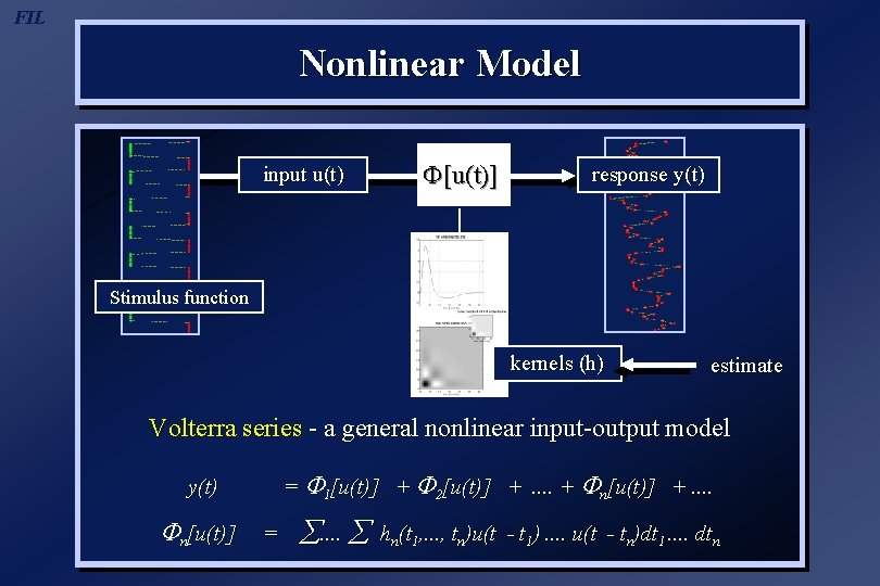 FIL Nonlinear Model input u(t) [u(t)] response y(t) Stimulus function kernels (h) estimate Volterra