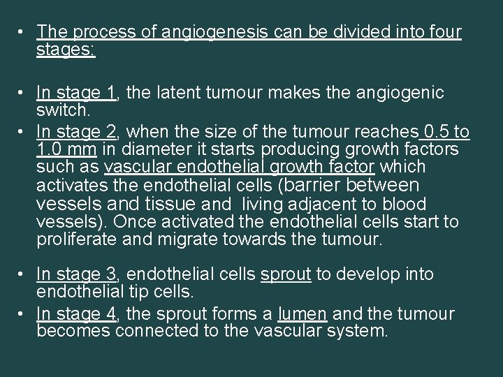  • The process of angiogenesis can be divided into four stages: • In