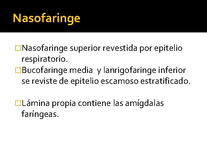 Nasofaringe �Nasofaringe superior revestida por epitelio respiratorio. �Bucofaringe media y lanrigofaringe inferior se reviste