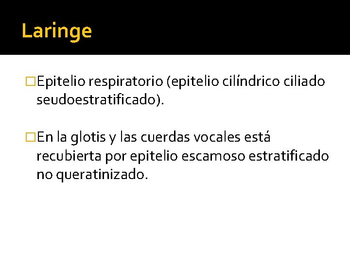 Laringe �Epitelio respiratorio (epitelio cilíndrico ciliado seudoestratificado). �En la glotis y las cuerdas vocales