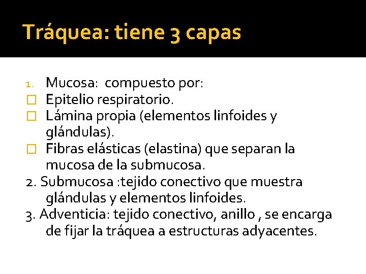 Tráquea: tiene 3 capas Mucosa: compuesto por: Epitelio respiratorio. Lámina propia (elementos linfoides y