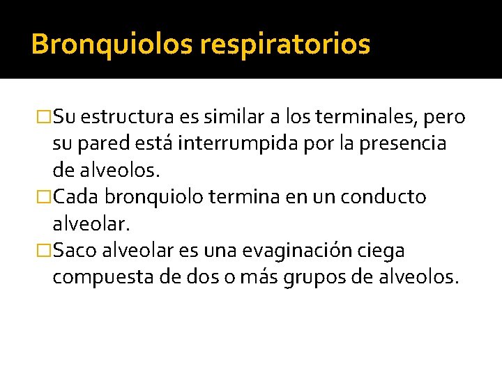 Bronquiolos respiratorios �Su estructura es similar a los terminales, pero su pared está interrumpida