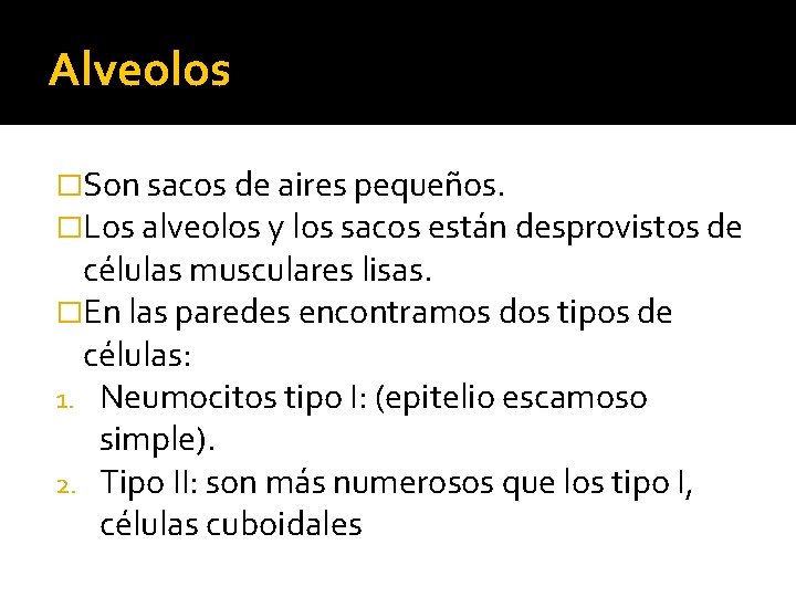 Alveolos �Son sacos de aires pequeños. �Los alveolos y los sacos están desprovistos de