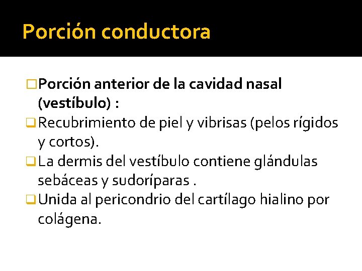 Porción conductora �Porción anterior de la cavidad nasal (vestíbulo) : q Recubrimiento de piel