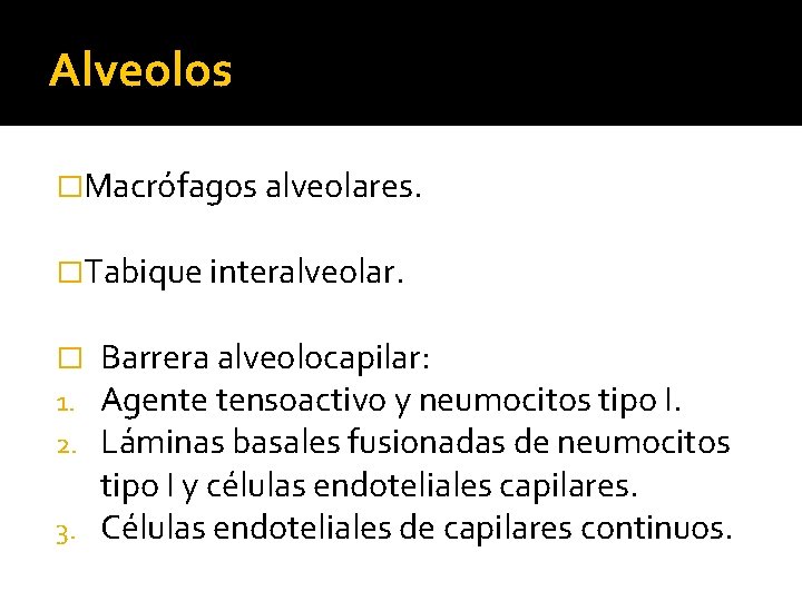 Alveolos �Macrófagos alveolares. �Tabique interalveolar. Barrera alveolocapilar: Agente tensoactivo y neumocitos tipo I. Láminas