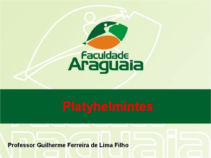 Platyhelmintes Professor Guilherme Ferreira de Lima Filho 
