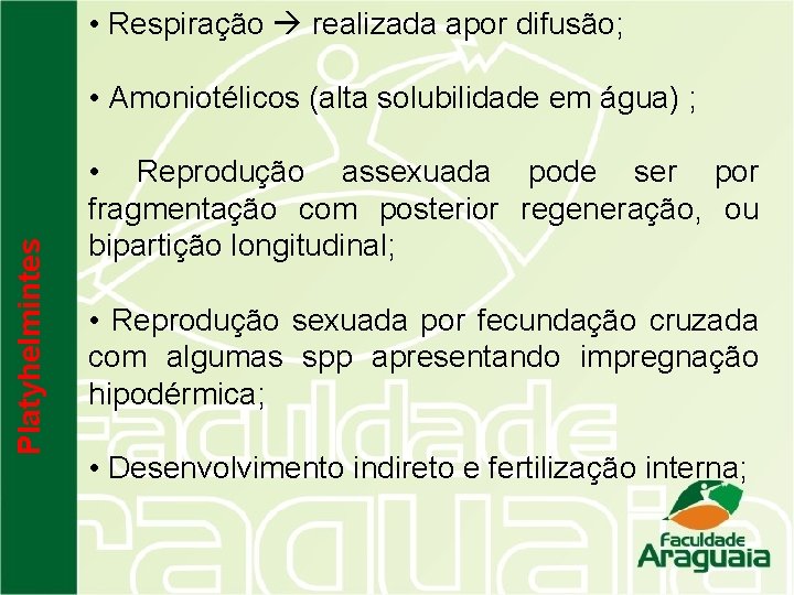  • Respiração realizada apor difusão; Platyhelmintes • Amoniotélicos (alta solubilidade em água) ;