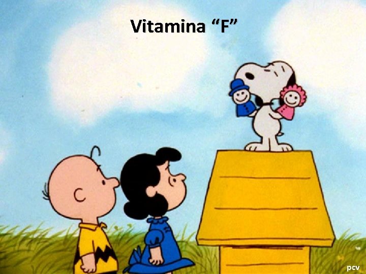 Vitamina “F” pcv 