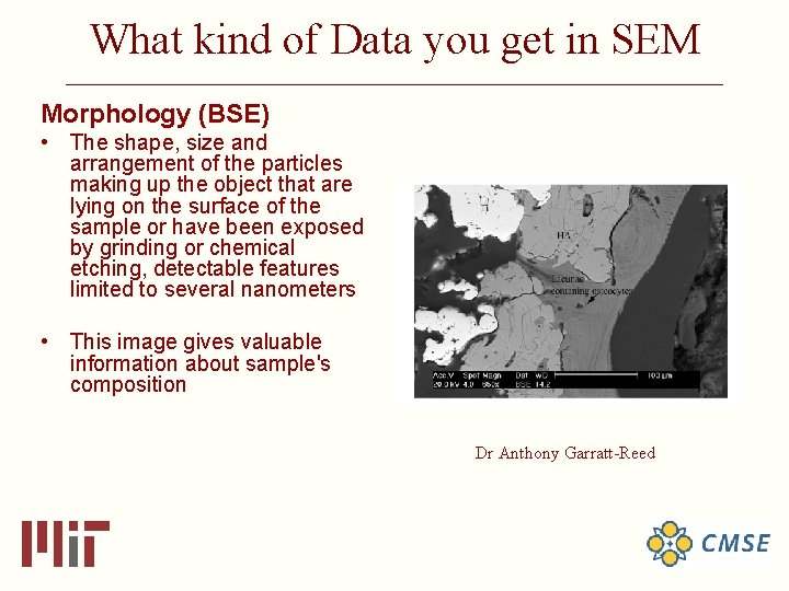 What kind of Data you get in SEM ______________________________ Morphology (BSE) • The shape,