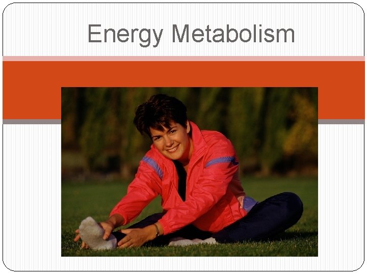 Energy Metabolism 