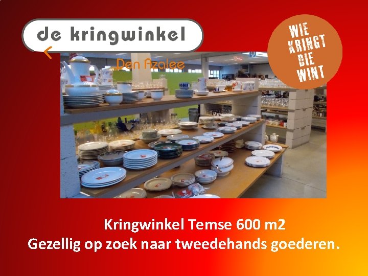 Kringwinkel Temse 600 m 2 Gezellig op zoek naar tweedehands goederen. 