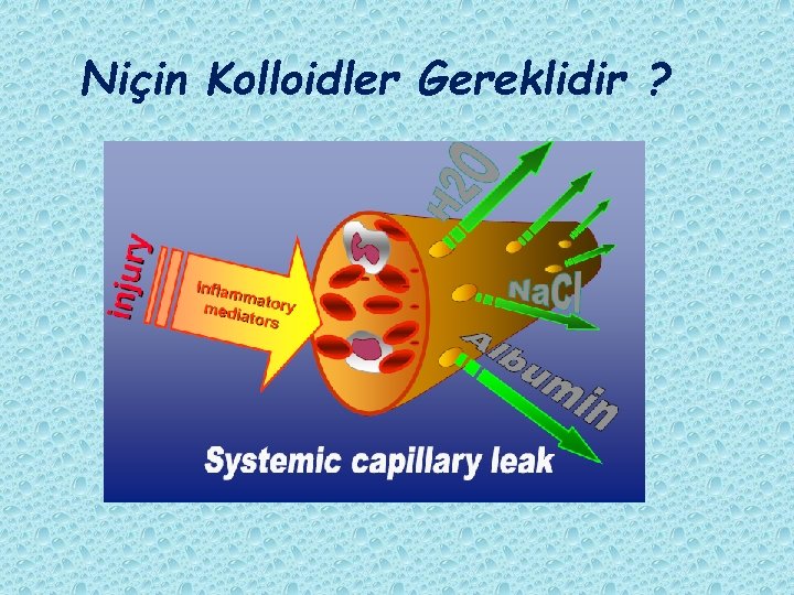 Niçin Kolloidler Gereklidir ? 