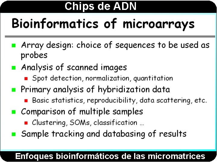 Chips de ADN Enfoques bioinformáticos de las micromatrices 