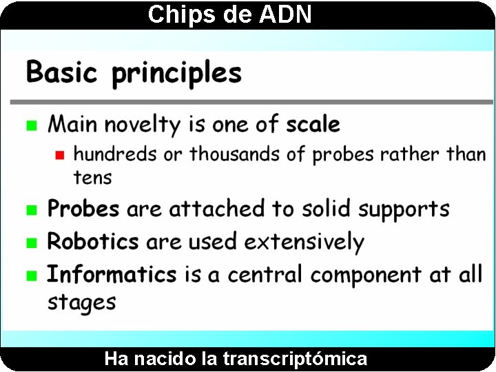 Chips de ADN Ha nacido la transcriptómica 