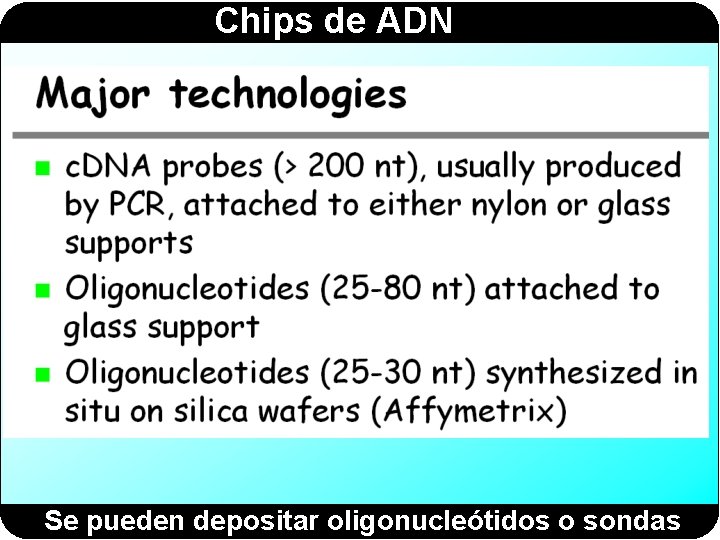 Chips de ADN Se pueden depositar oligonucleótidos o sondas 