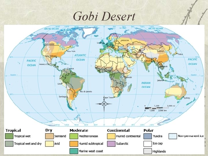 Gobi Desert 