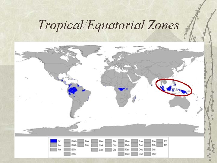 Tropical/Equatorial Zones 